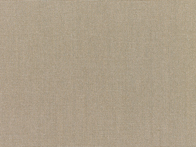 Taupe - Sunbrella - Cushion.com